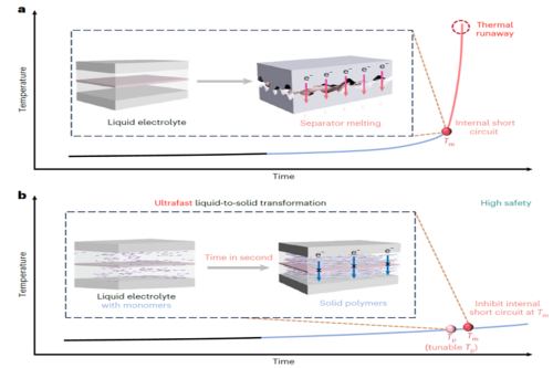 WUT professor You Ya’s Team publishes latest research findings in Nature Energy
